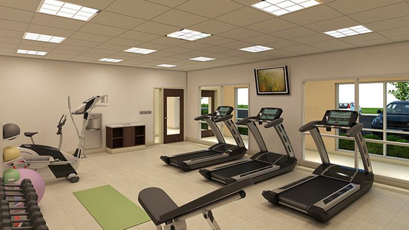 Holiday Inn Express & Suites - Ottawa By Ihg Eksteriør billede